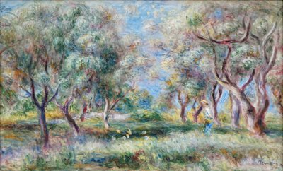 The Olive Trees of Cagnes by Pierre Auguste Renoir